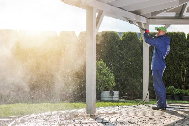 Best Soft Washing for Delicate Surfaces in Stuart, IA
