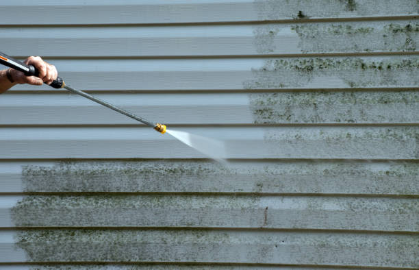 Best Window and Screen Pressure Cleaning in Stuart, IA